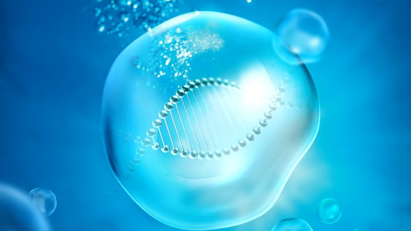 生物医药外包生产资质要求：合规之路的关键要素**