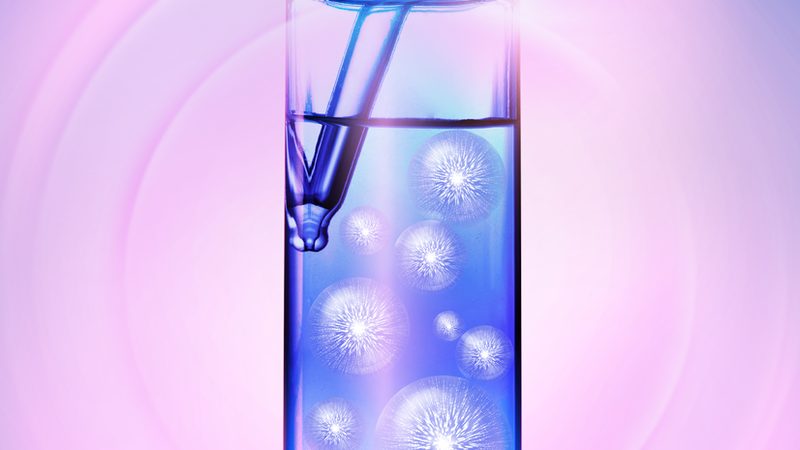 分子生物学试剂分类标准价格