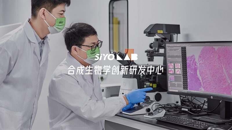 国产洗衣酶品牌对比：揭秘洗衣酶的“幕后英雄”**