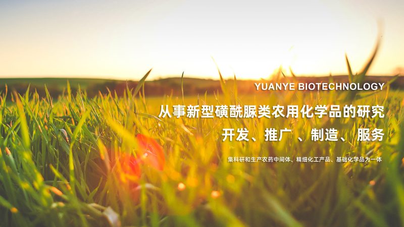 如何选择北京地区的CRO公司？关键因素与误区解析