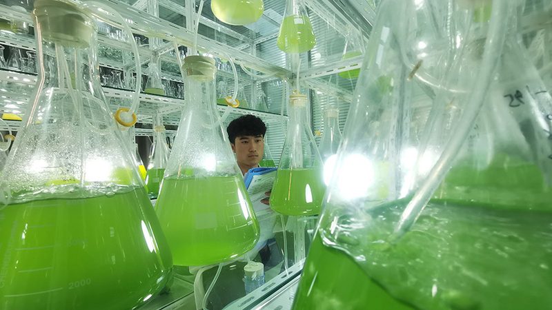 遗传病全外显子测序：揭秘精准医疗的“探针”**