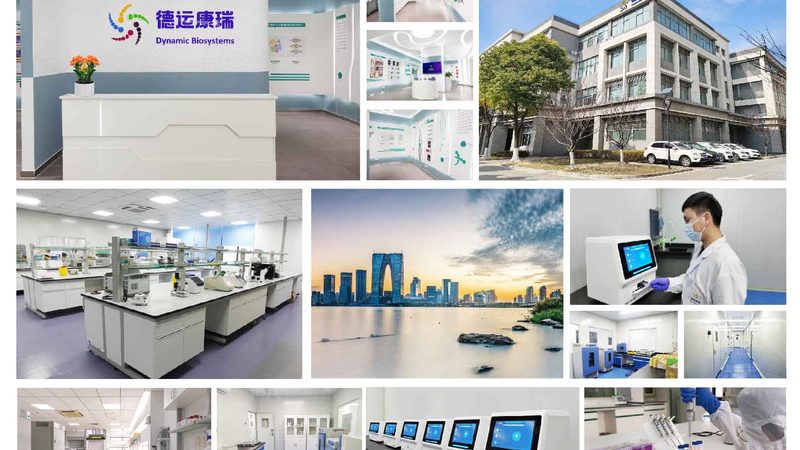 单道与多道移液器：揭秘实验室中的“幕后英雄”**