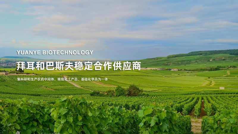离心力选择：如何准确匹配离心管需求**