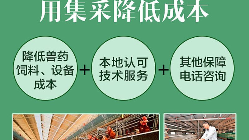 实验室耗材规格型号大全