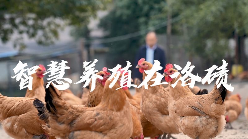生物医药外包合同审核：关键要点与风险防范**