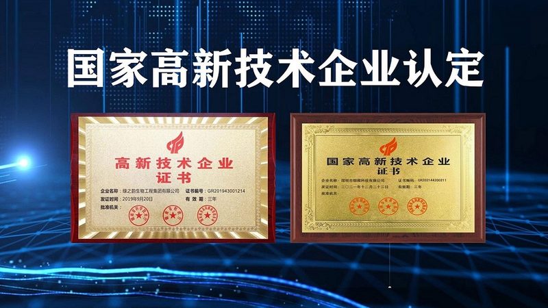 引物合成质量检测报告，如何精准解读？**